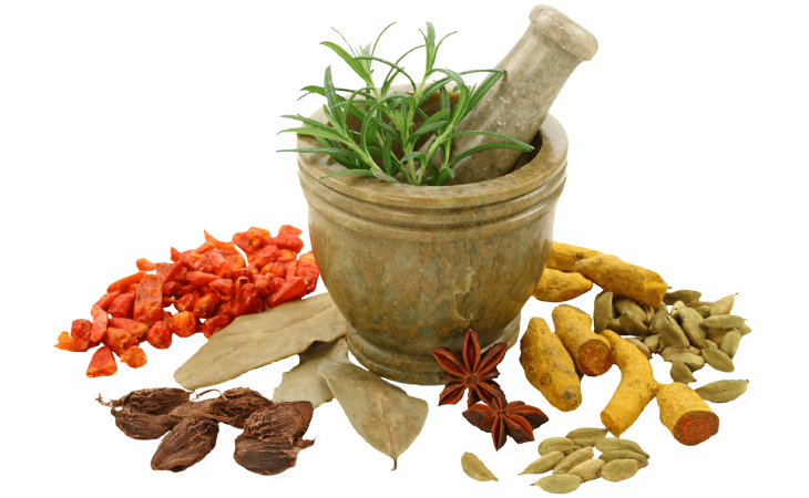 Aster Chinese Medicine - Herbal